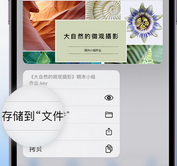 万山apple维修中心分享iPhone文件应用中存储和找到下载文件