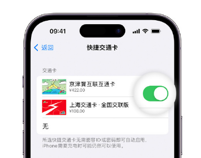 万山apple维修点分享iPhone上更换Apple Pay快捷交通卡手绘卡面 