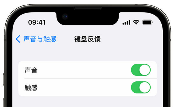 万山苹果手机维修分享iPhone 14触感键盘使用方法 