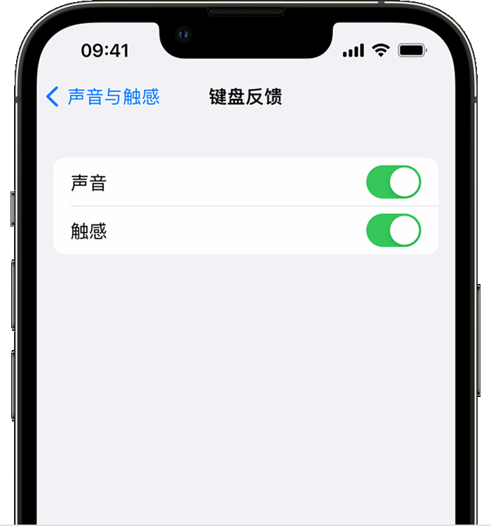 万山苹果14维修店分享如何在 iPhone 14 机型中使用触感键盘 