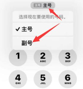 万山苹果14维修店分享iPhone 14 Pro Max使用副卡打电话的方法 