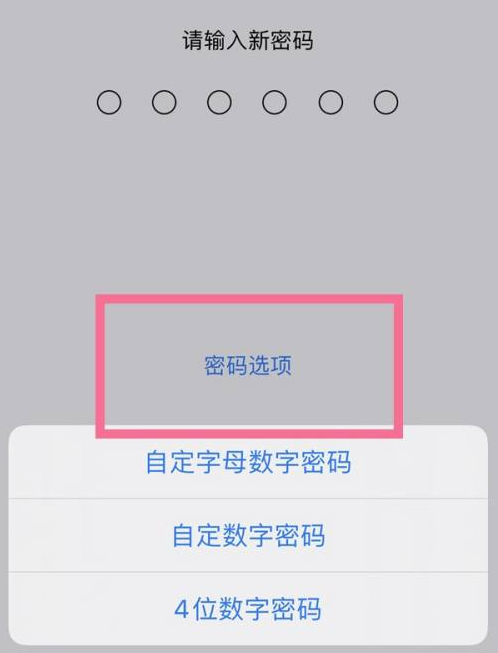 万山苹果14维修分享iPhone 14plus设置密码的方法 