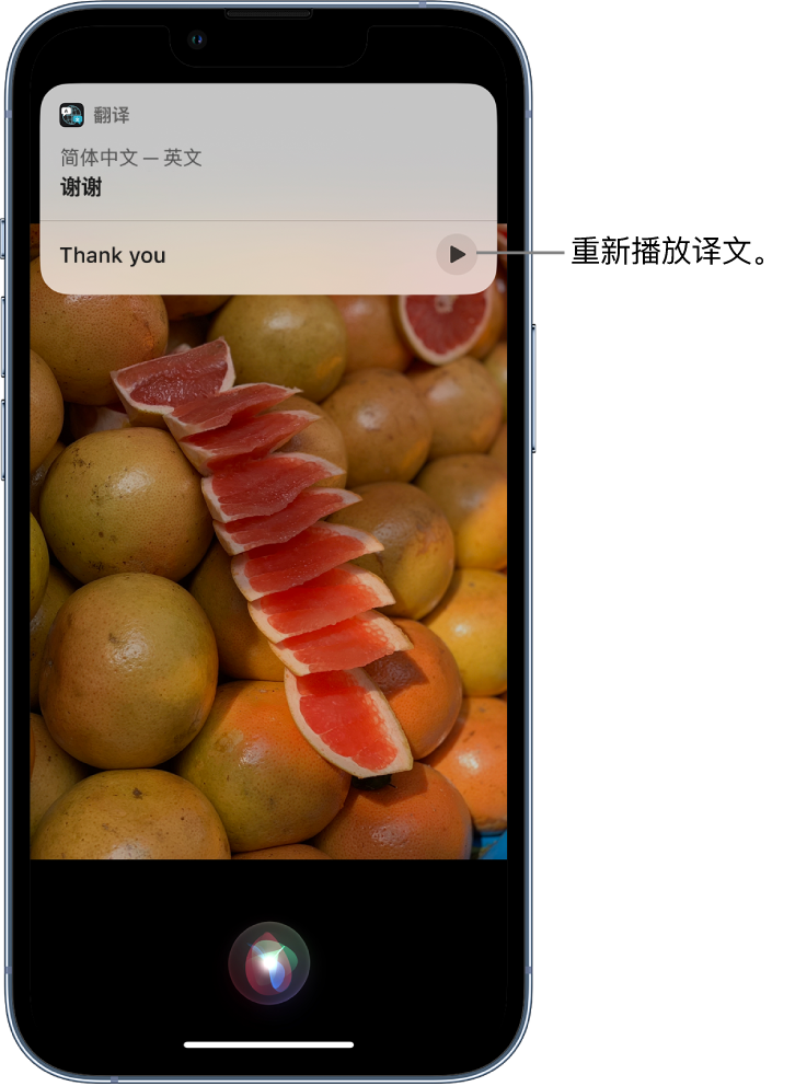 万山苹果14维修分享 iPhone 14 机型中使用 Siri：了解 Siri 能帮你做什么 