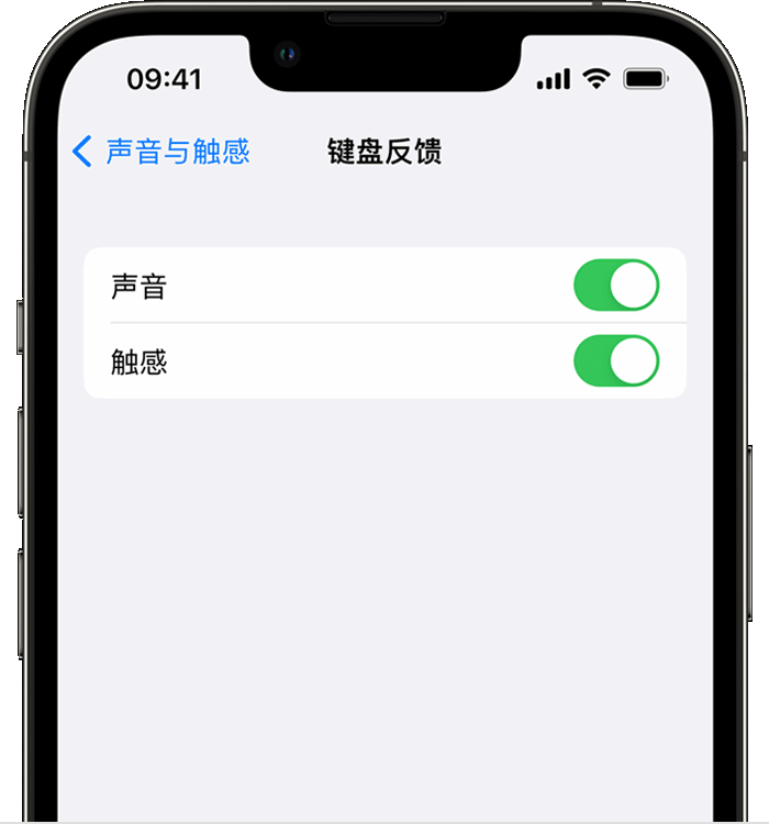万山苹果14维修分享iPhone 14 系列机型如何开启键盘声音或触感反馈 
