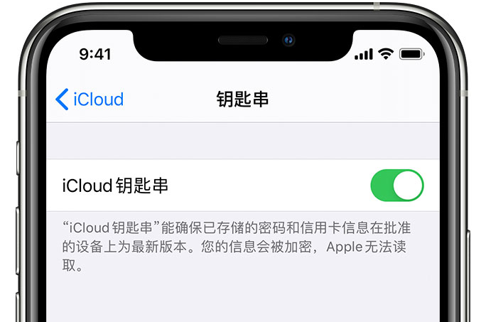 万山苹果手机维修分享在 iPhone 上开启 iCloud 钥匙串之后会储存哪些信息 