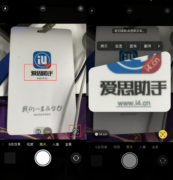 万山苹果手机维修分享升级iOS 16后如何通过相机翻译文本 