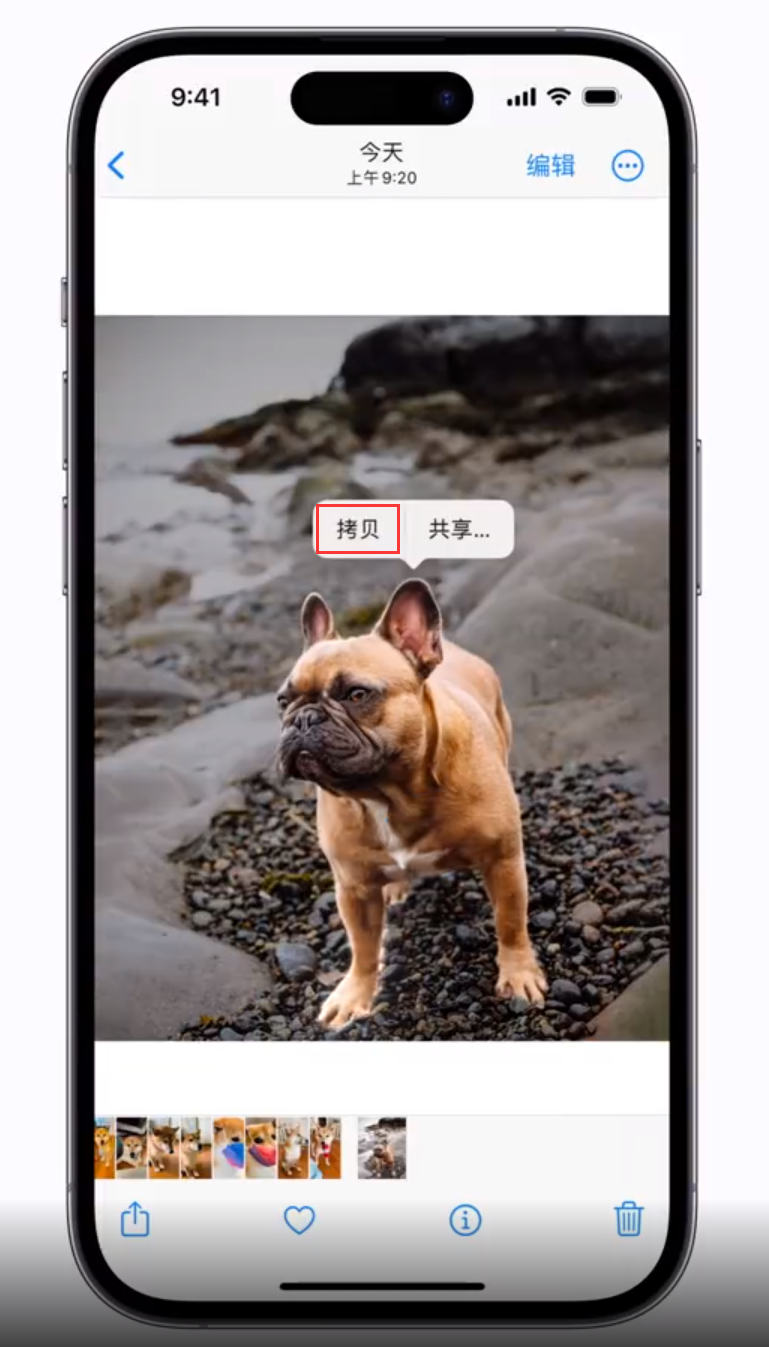 万山苹果手机维修分享 iOS 16 自带一键抠图功能 