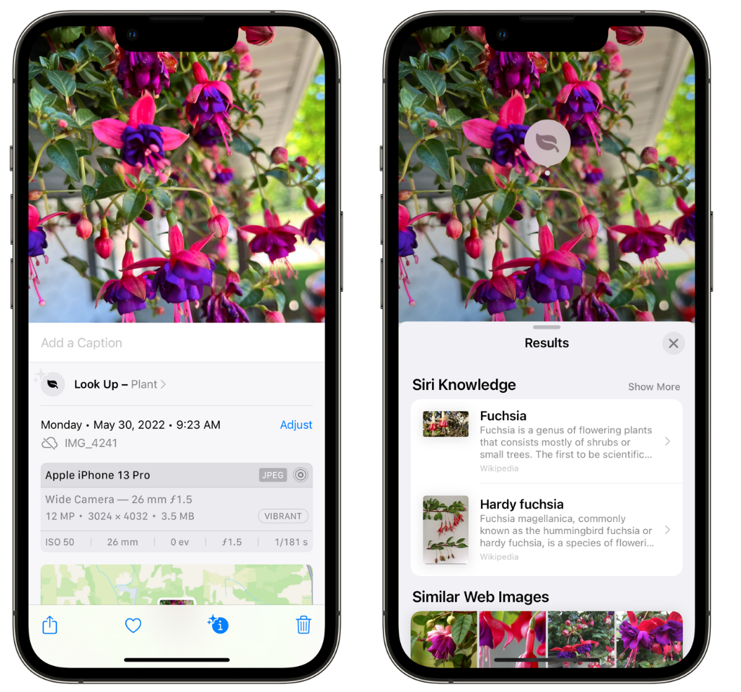 万山苹果手机维修分享小技巧：使用 iPhone 相机识别花卉植物 