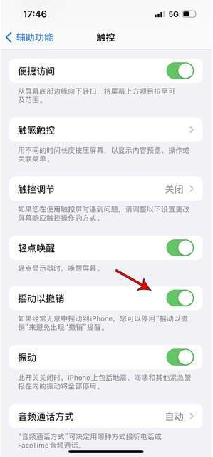 万山苹果手机维修分享iPhone手机如何设置摇一摇删除文字 
