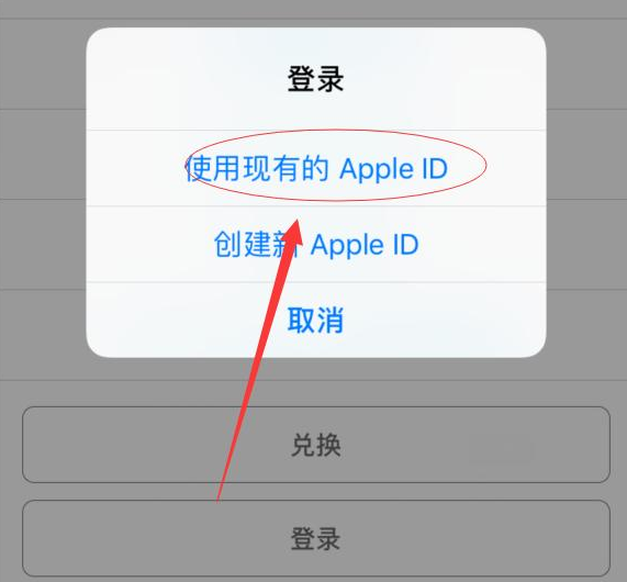 万山苹果手机维修分享两台iPhone设备可以同时登录一个Apple ID吗 