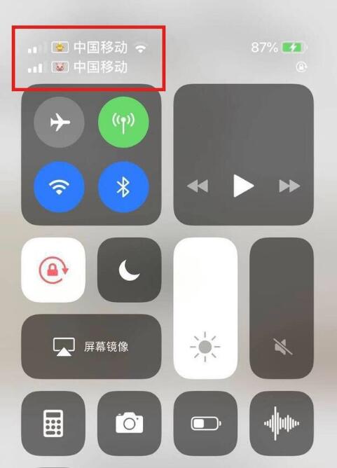 万山苹果手机维修分享为 iPhone 12 双卡设置标签 